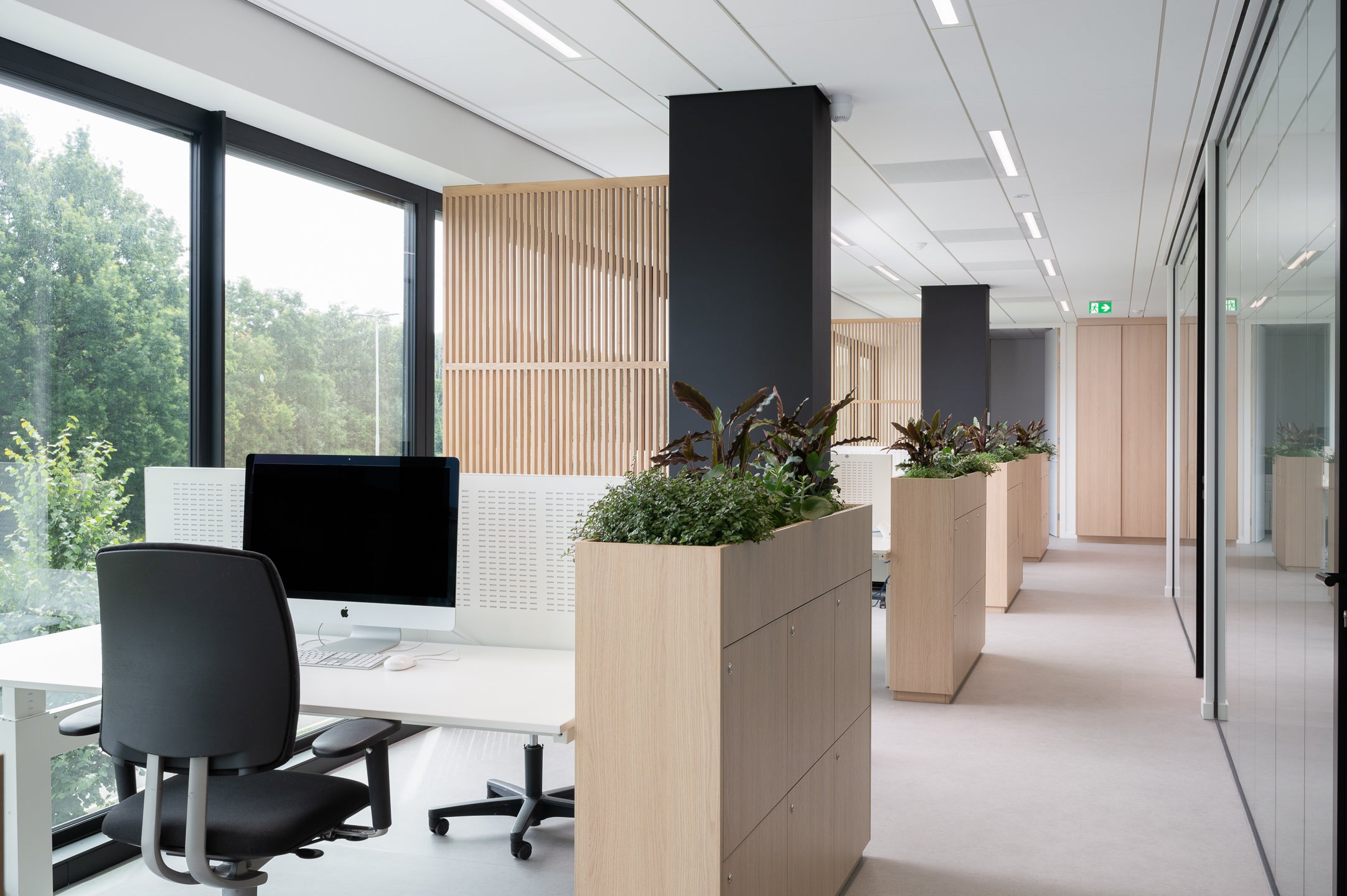 Houten scheidingswanden creëren een open en lichte werkplek, bevorderen samenwerking en bieden privacy in de kantoortuin.