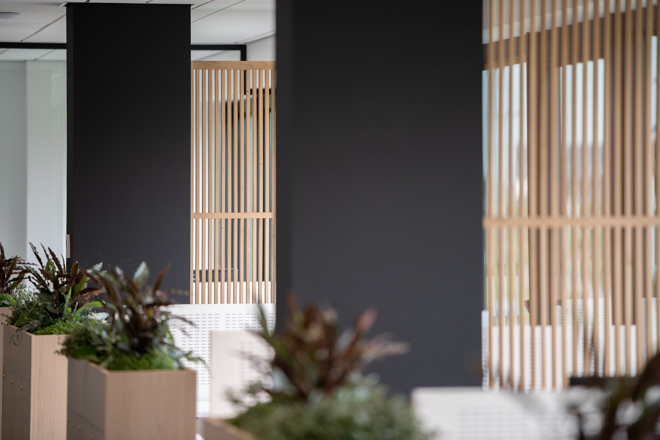 Houten scheidingswanden creëren een open en lichte werkplek, bevorderen samenwerking en bieden privacy in de kantoortuin.