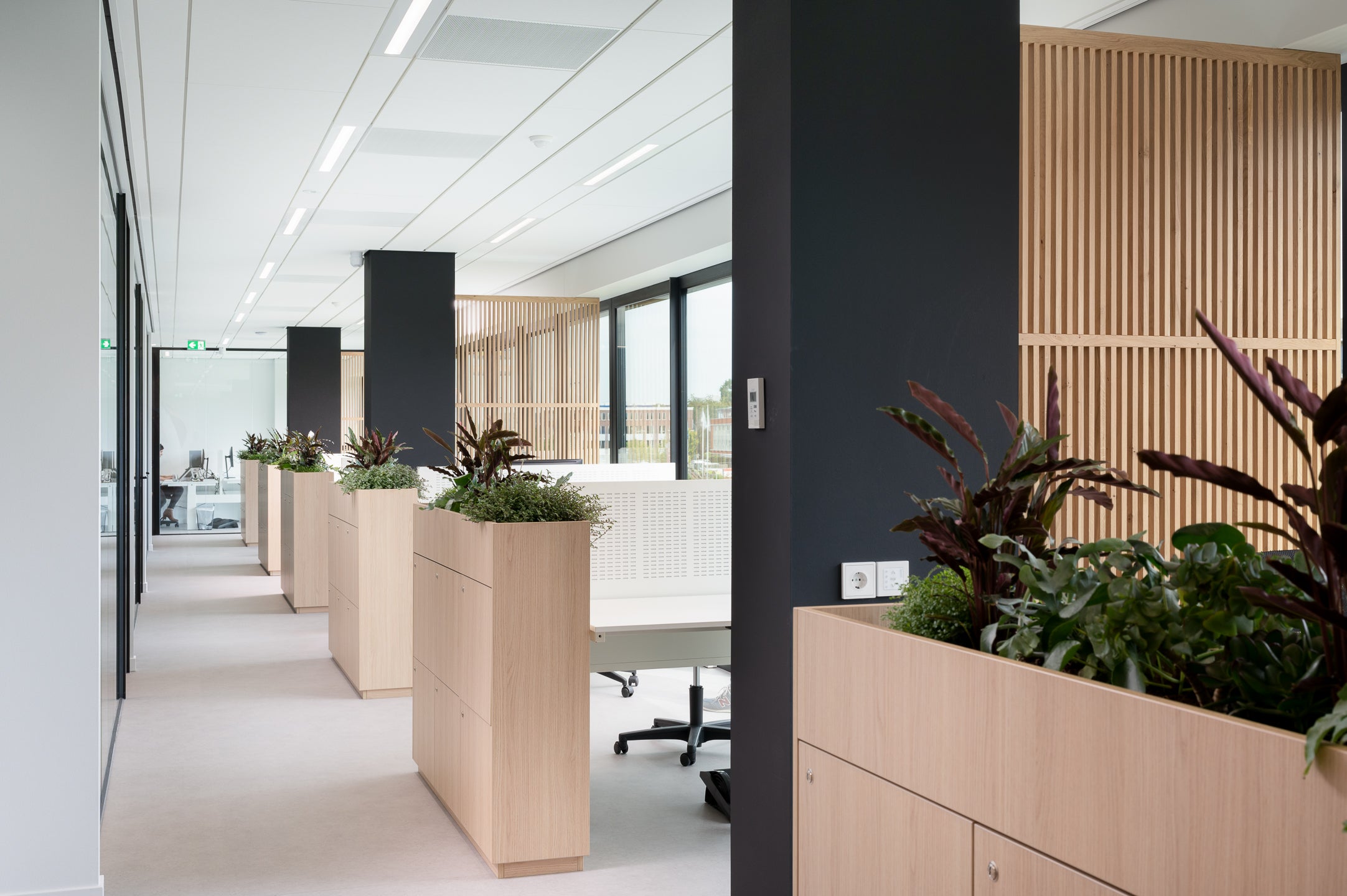 Houten scheidingswanden creëren een open en lichte werkplek, bevorderen samenwerking en bieden privacy in de kantoortuin.