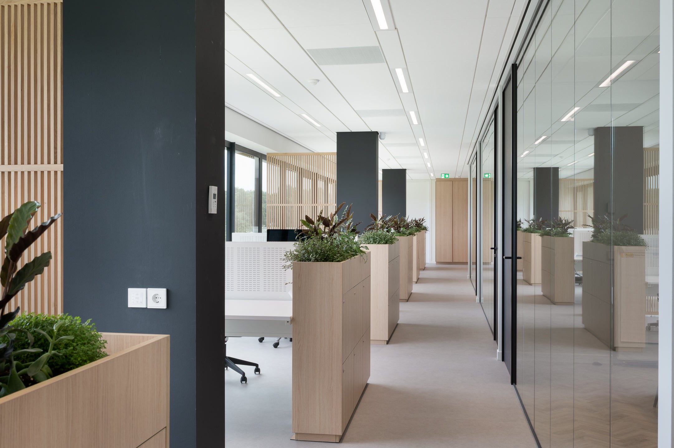 Houten scheidingswanden creëren een open en lichte werkplek, bevorderen samenwerking en bieden privacy in de kantoortuin.